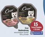 Hundenahrung Angebote von Cesar bei E center Schwabach