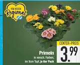 Primeln von  im aktuellen EDEKA Prospekt für 3,99 €