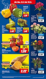 Paprika im Lidl Prospekt in Norderstedt Aktueller Lidl Prospekt mit Paprika, "LIDL LOHNT SICH", Seite 7