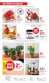 Promos Orchidée dans le catalogue "Super U" de Super U Orchidée en promo dans le catalogue Super U à la page 38