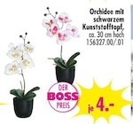 Orchidee Angebote bei SB Möbel Boss Halle für 4,00 €