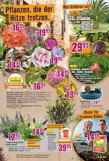 Vogelkäfig im Hornbach Prospekt "Dir ist vieles Latte. Nur nicht Dein Garten." mit 33 Seiten (Darmstadt)
