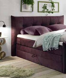 Boxspringbett BASTIAN bei Zurbrüggen in Melle Boxspringbett BASTIAN im Angebot bei Zurbrüggen Melle für 1.275,00 €