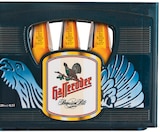 Premium Pils von Hasseröder im aktuellen Netto mit dem Scottie Prospekt
