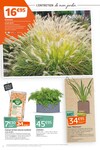 Plantes Plantes