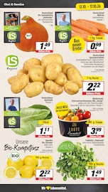 Tomaten im EDEKA Prospekt in Hamm Aktueller EDEKA Prospekt mit Tomaten, "Aktuelle Angebote", Seite 5