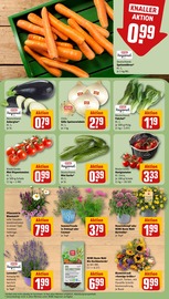 Aktueller REWE Prospekt mit Blumen, "Dein Markt", Seite 7