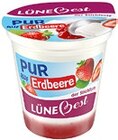 Kaufland Walsrode - Joghurt auf Frucht Angebot im Prospekt Joghurt auf Frucht bei Kaufland im Walsrode Prospekt für 0,49 €