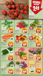 Gartenerde Angebot im aktuellen REWE Prospekt auf Seite 7