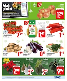 Tomaten im EDEKA Prospekt "IM EINSATZ FÜR FRISCHE & VIELFALT." mit 30 Seiten (München)