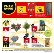 Promo Olivier dans le catalogue Bricorama du moment à la page 4