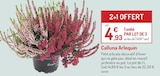 Promo Calluna Arlequin à 4,93 € dans le catalogue Botanic à L'Isle-d'Abeau