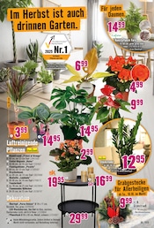 Aktueller Hornbach Prospekt mit Grabpflege, "Wir sagen Danke.", Seite 27