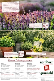 Aktueller Garten-Center Nordharz GmbH & Co. KG Prospekt mit Kräuter, "SUMMER TIME!", Seite 16