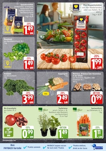 Rosmarin im EDEKA Frischemarkt Prospekt "Top Angebote" mit 28 Seiten (Rostock)