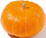 Deutscher Hokkaido Kürbis Angebote bei Netto mit dem Scottie Lutherstadt Wittenberg für 0,99 €