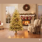 Sapin naturel Nordmann à Carrefour Market dans La Maladrerie