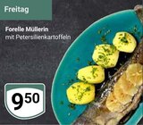 Forelle Müllerin im Angebot bei GLOBUS in Rüsselsheim Forelle Müllerin Angebote bei GLOBUS Rüsselsheim für 9,50 €