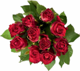 Aktuelles Edelrosen Angebot bei Netto Marken-Discount in Jena ab 2,99 €