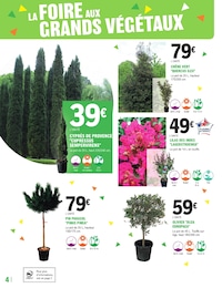 Prix et réduction Cyprès dans le prospectus E.Leclerc en cours Offre Cyprès dans le catalogue E.Leclerc du moment à la page 4