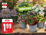 Angebot im E center Kemmern Prospekt E center Kemmern Prospekt mit im Angebot für 1,99 €