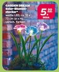 Solar-Blumenstecker von GARDEN DREAM im aktuellen Netto mit dem Scottie Prospekt