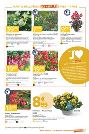 Fleurs Angebote im Prospekt "J'AIME QUAND C'EST RELAX" von Jardiland Fleurs Angebote im Prospekt "J'AIME QUAND C'EST RELAX" von Jardiland auf Seite 3