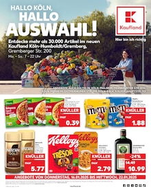 Aktueller Kaufland Prospekt "Aktuelle Angebote" Seite 1 von 64 Seiten für Köln