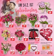 Aktueller Marktkauf Prospekt mit Dekoration, "Aktuelle Angebote", Seite 2