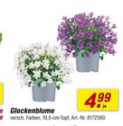 Angebot im toom Baumarkt Vielbach Prospekt toom Baumarkt Vielbach Prospekt mit im Angebot für 4,99 €