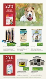 Hundefutter Angebote im Prospekt "WELTFRAUENTAG" von Pflanzen Kölle auf Seite 14