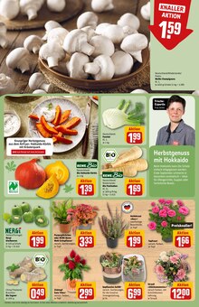 Pflanzen im REWE Prospekt "Dein Markt" mit 34 Seiten (Jena)