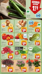 Blumen Angebot & Preis im aktuellen REWE Prospekt Blumen Angebot im aktuellen REWE Prospekt auf Seite 7