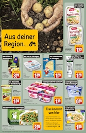 Stern Angebote im Prospekt "Dein Markt" von REWE Stern Angebote im Prospekt "Dein Markt" von REWE auf Seite 32