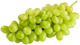 Helle Tafeltrauben bei REWE im Erwitte Prospekt für 1,49 €