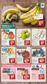 Ähnliche Aquarium Angebote im Prospekt "nichts liegt näher" von nahkauf in Bayreuth Ähnliche Angebote wie Aquarium im Prospekt "nichts liegt näher" auf Seite 3 von nahkauf in Bayreuth