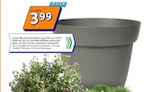 Blumentopf im Action Prospekt Blumentopf von im aktuellen Action Prospekt für 3,99 €