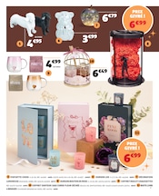 Promos Fleurs d'extérieur dans le catalogue "LA BOUTIQUE CADEAUX" de Gifi à la page 7
