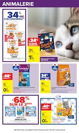 Promos Croquettes Chien dans le catalogue "Carrefour" de Carrefour Croquettes Chien en promo dans le catalogue Carrefour à la page 40