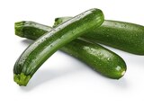 Zucchini Angebote von Bio bei Lidl Ulm für 1,99 €