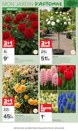 Promos Fleurs dans le catalogue "JARDIN LÀ OÙ LA VIE SE CULTIVE" de Carrefour Market Fleurs en promo dans le catalogue Carrefour Market à la page 2