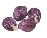 Aktuelles Bio-Rotkraut Angebot bei tegut in Nürnberg ab 0,99 €