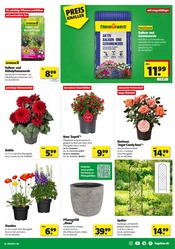 Aktueller Hagebaumarkt Prospekt mit Gartenerde, "GENIESSE DIE KRAFT DER SONNE", Seite 3