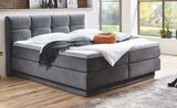 Boxspringbett im Angebot bei Opti-Wohnwelt in Waiblingen Boxspringbett Angebote bei Opti-Wohnwelt Waiblingen für 1.199,00 €