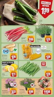 Zitronen im REWE Prospekt "Dein Markt" mit 18 Seiten (Nürnberg)