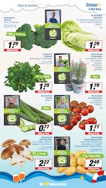 Pilze im EDEKA Prospekt in Osnabrück Aktueller EDEKA Prospekt mit Pilze, "Aktuelle Angebote", Seite 4