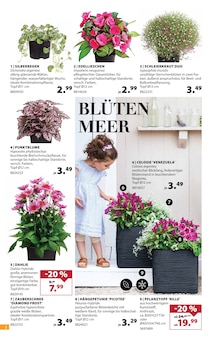 Aktueller Dehner Garten-Center Prospekt "Aktuelle Angebote" Seite 2 von 16 Seiten für Freising