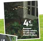 Bouquet luciole solaire 10 led blanc chaud h.68cm à 4,99 € dans le catalogue Maxi Bazar