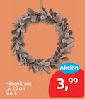 Hängekranz für 3,99 € bei budni im Angebot Hängekranz im aktuellen budni Prospekt