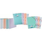 SUR TOUT LE CLASSEMENT BLUSH - EXACOMPTA en promo chez Carrefour Franconville